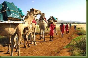 Kenya Adventures - Camel Safari