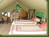 Kenya - Maasi Mara - Governors Camp