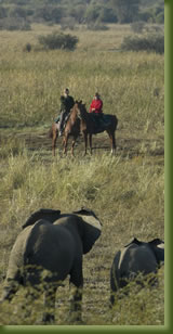 Kenya Adventures - Horseback Safari