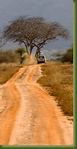 Kenia Safari -road